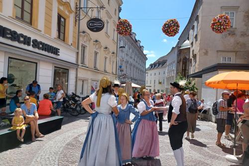 Marhuľové slávnosti