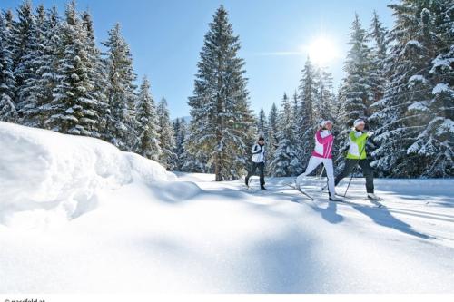 Falkensteiner hotel & Spa Carinzia ****+, Nassfeld