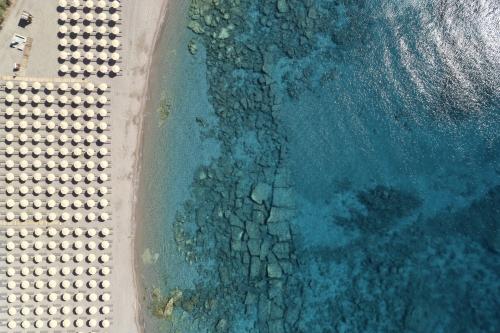 Hotel Blue Horizon