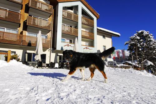 Lac Salin SPA & Mountain Resort