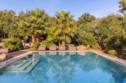 Bazén obklopený stromami