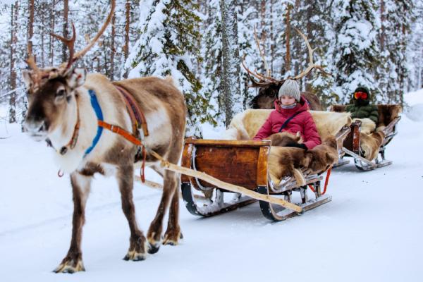 10 dôvodov prečo sa vybrať do Laponska nielen za polárnou žiarou