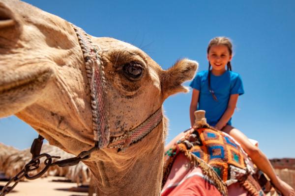 Rodinné cesty, na ktoré deti nikdy nezabudnú