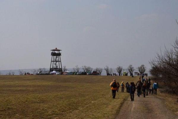 Festival mandlí a vína