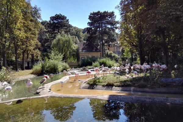 Schönbrunn Zoo a Zámok - 