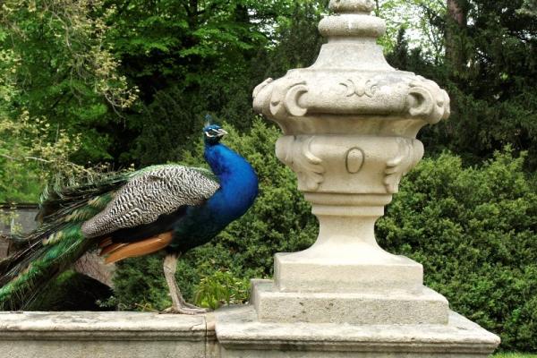 Klenoty moravského Slovácka, poznávací zájazd