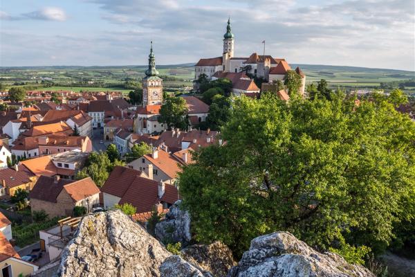 Valtice a Mikulov, poznávací zájazd