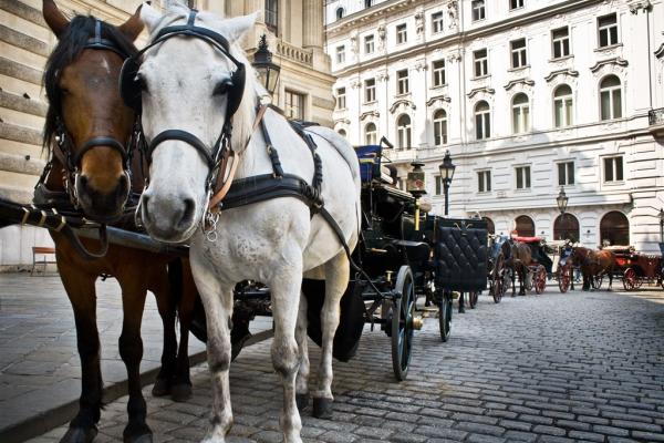 Najkrajšie viedenské kostoly, poznávací zájazd