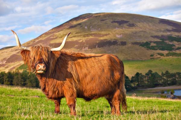 Orkneje a Hebridy - divoké Škótske ostrovy, poznávací zájazd