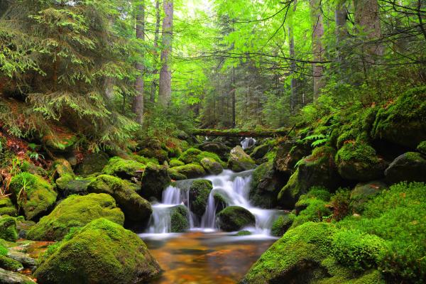 Krásy Šumavy, poznávací zájazd