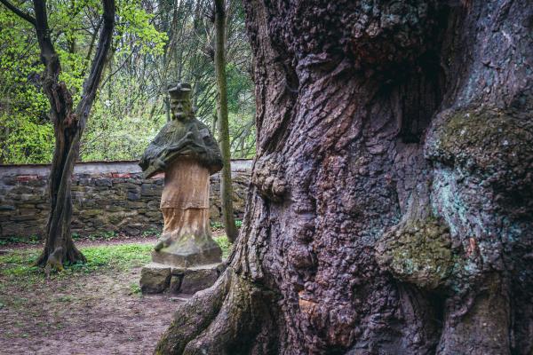 Za tajomstvom Žítkovských bohýň