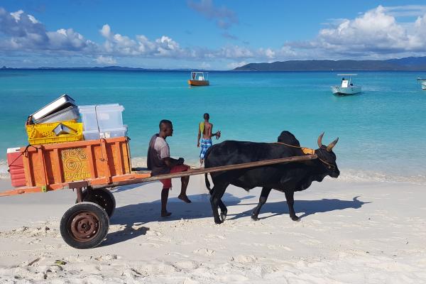 Unikátne potulky západným Madagaskarom