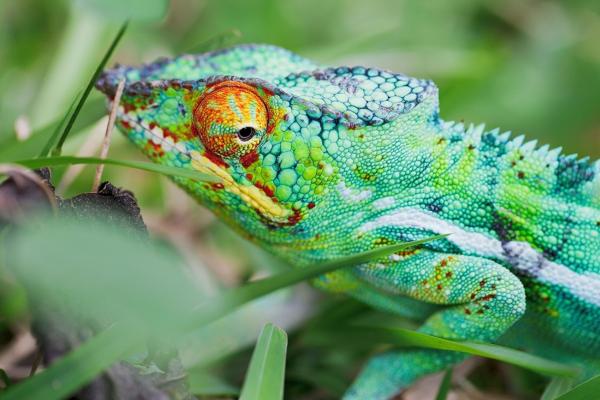 Unikátne potulky západným Madagaskarom