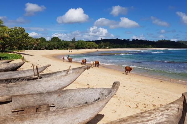 Unikátne potulky západným Madagaskarom