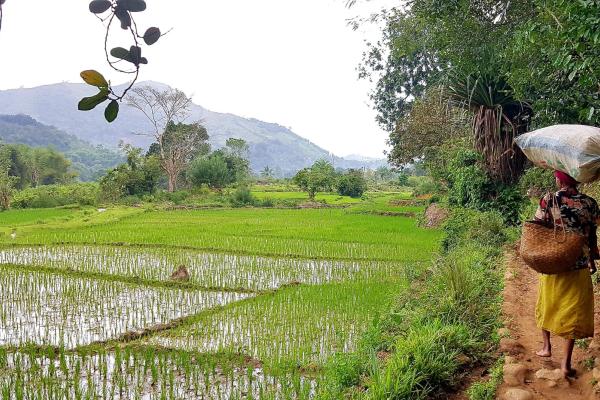 Unikátne potulky západným Madagaskarom