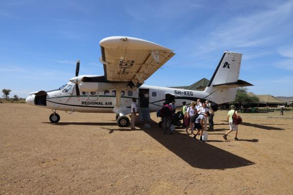 safari v tanzánii, jeep zebry, levy, žirafy