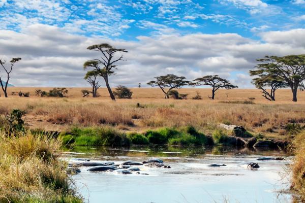 Zanzibar - safari v NP Saadani s pobytom pri mori