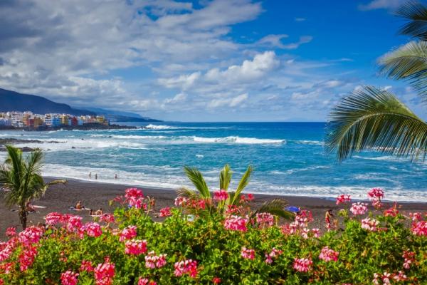 Kvety, palmy, piesková pláž a oceán na Tenerife.