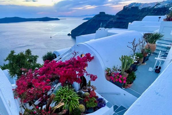 Kvety a pohľad na more z Fira.