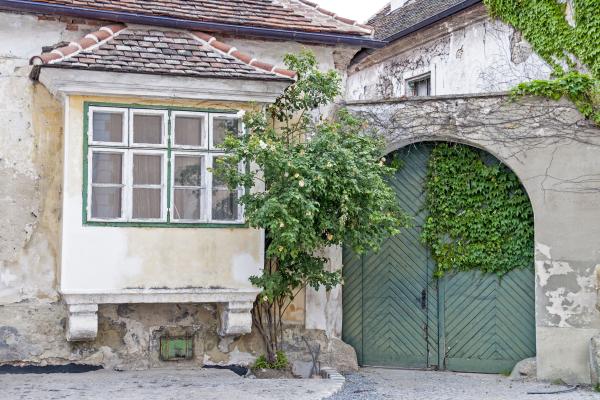 Poklady Neziderského jazera