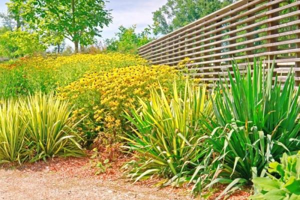 Výstava kvetov v Tulln, poznávací zájazd, Rakúsko