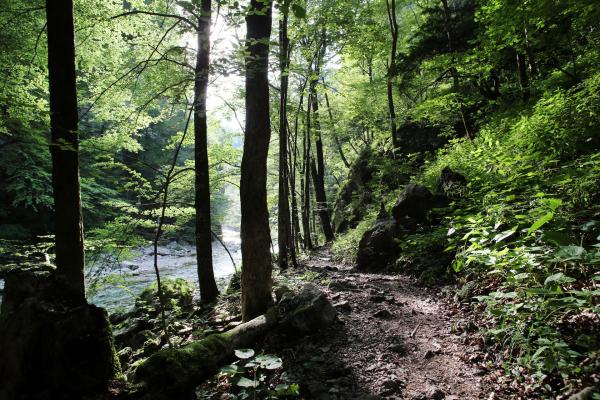 Otschergraben, poznávací zájazd, Rakúsko