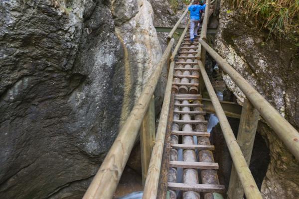 Medvedia roklina, poznávací zájazd