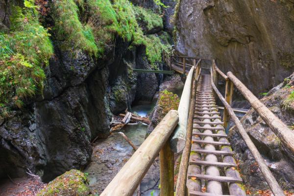 Medvedia roklina, poznávací zájazd