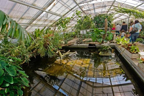 Flora Olomouc, poznávací zájazd