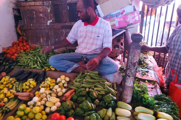 Zanzibar - safari v NP Mikumi a Stone Town s pobytom pri mori