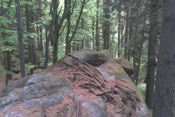 Prírodný park Myrafälle, poznávací zájazd