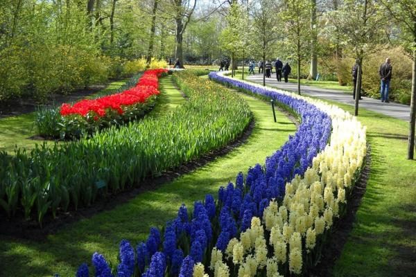 Záhrada-Holandsko