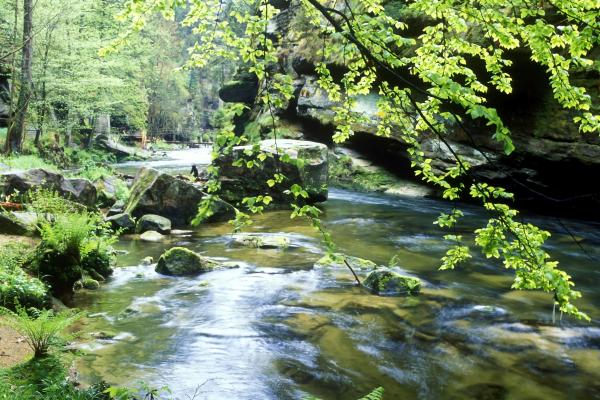 Za pokladmi Českosaského Švajčiarska