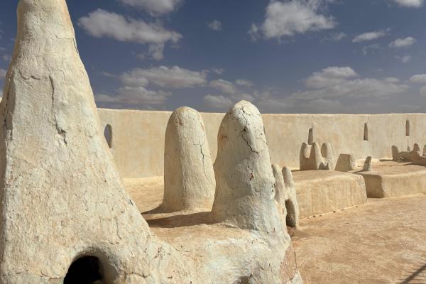 Alžírsko - magický svet Sahary a histórie