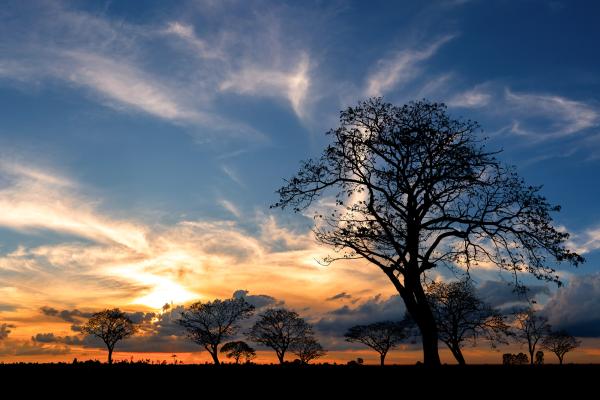 Juhoafrická republika komfortne - vinice, Kapské mesto a safari