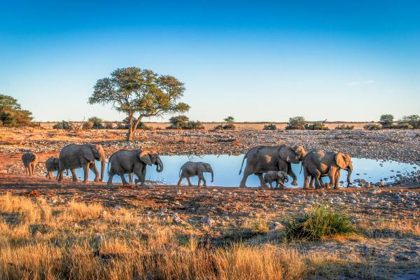 Zimbabwe Deluxe – zážitok na celý život