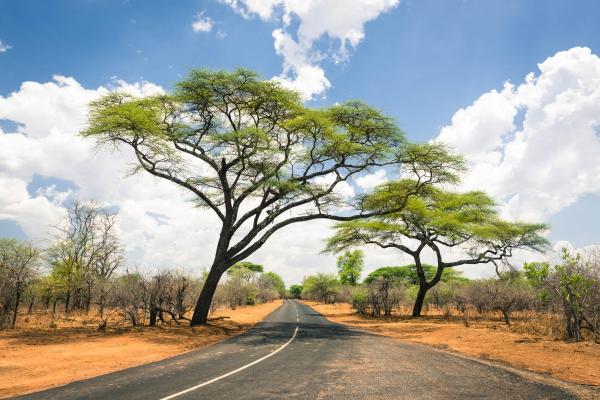 Zimbabwe Deluxe – zážitok na celý život