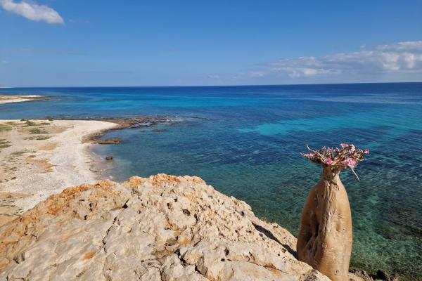 Sokotra - ostrov, ktorý sníva, komfortne v hoteloch