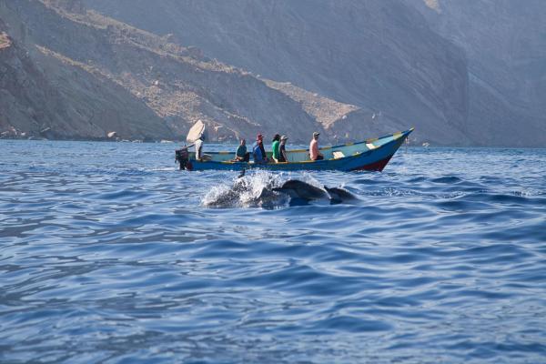 Sokotra - ostrov, ktorý sníva, komfortne v hoteloch