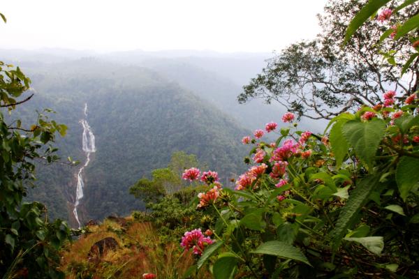 Kerala - zelené srdce Indie