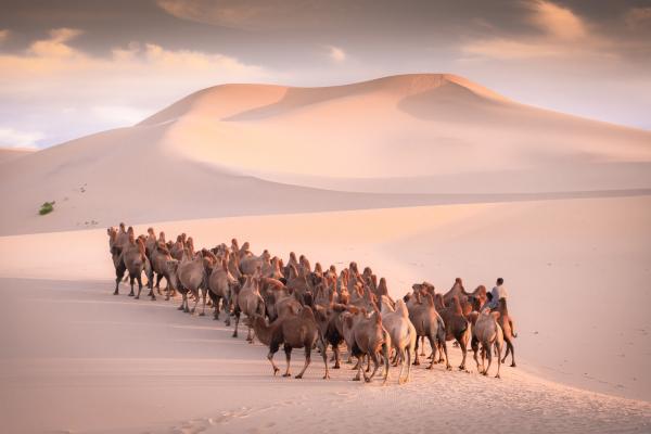 Mongolsko - Tri krásy Gobi a sviatok Naadan