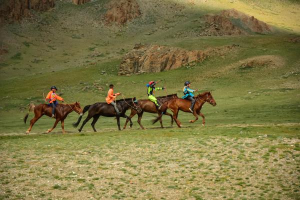 Mongolsko