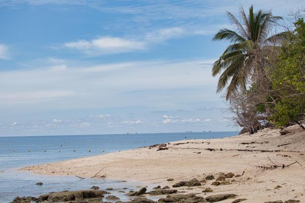 Malajzia, Borneo, Brunej - Ázijské safari