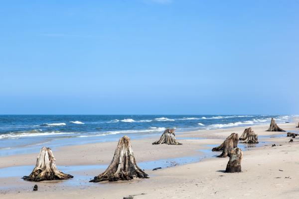 Gdaňsk - perla Baltiku