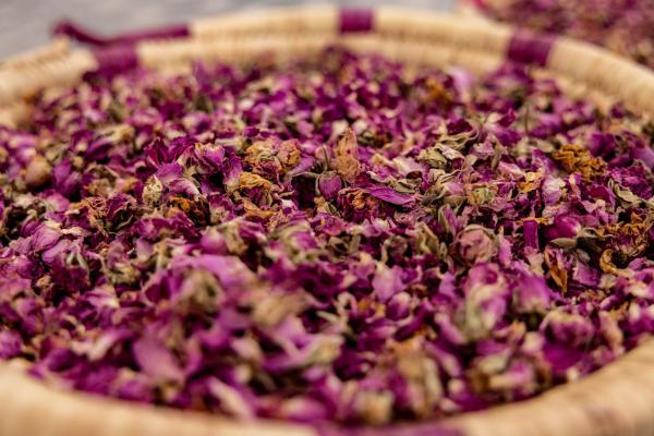 Magický víkend v Marakéši