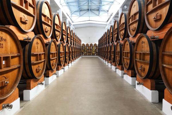 Moldavsko - cesta za najstaršími pivnicami sveta