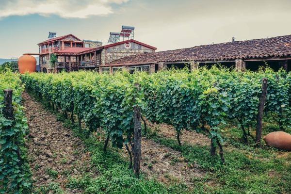 Gruzínsko – príbeh vína pod Kaukazom