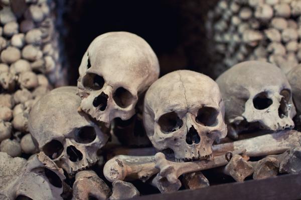 Kostnica v Kutnej Hore