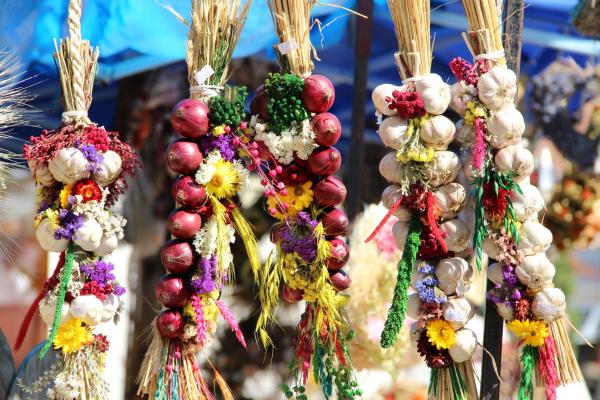 Festival cesnaku v Buchloviciach - cesnak