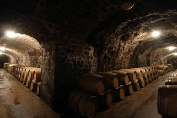 Vínna pivnica so sudmi